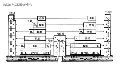 计算机系统服务 计算机网络体系结构的基石